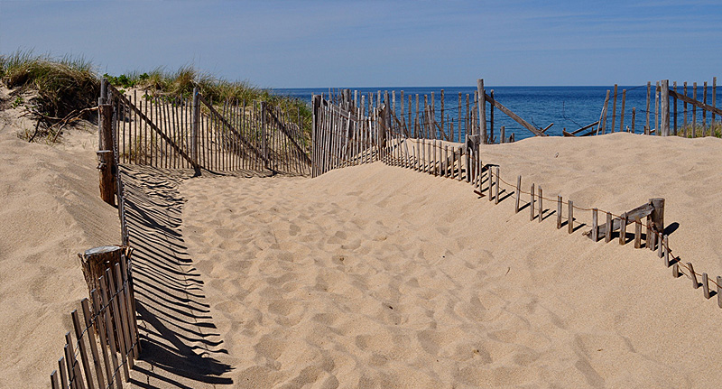 Provincetown Beach walk